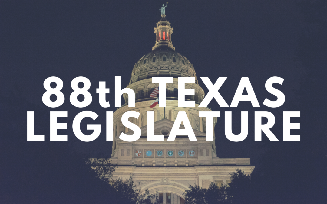 88th Legislative Update: Filed bills, Committee Assignments, & Market Redesign Review